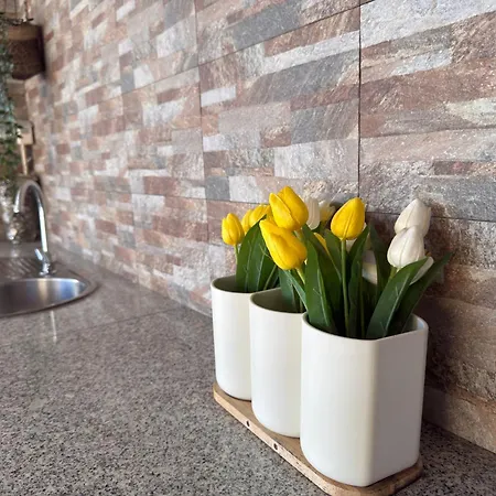 Casa Moderna Na Aldeia