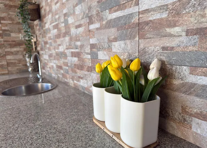 Casa Moderna Na Aldeia